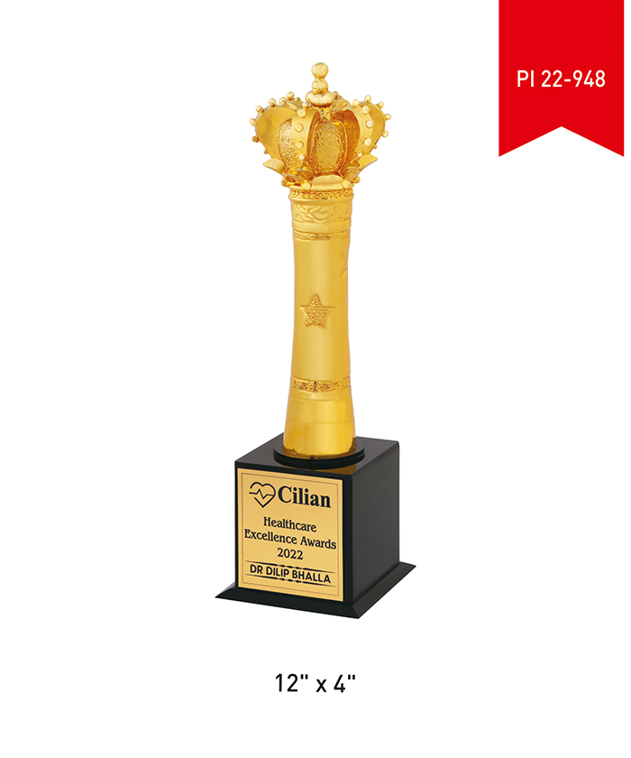 Metal Trophy PI 22- 948